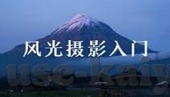 美国足球比分战报-美职联激战正酣，最新比分战报与赛场风云解析