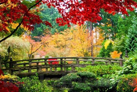 世界杯官方指定彩票-世界杯官方指定彩票，一场全球狂欢的幕后推手